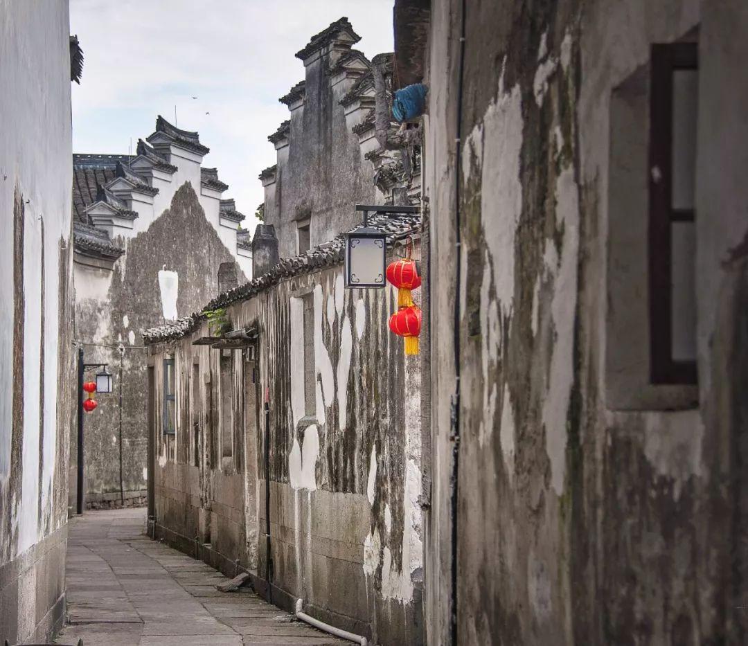 高盛连遇两次黑天鹅仍毫发无伤，它的底蕴来自于哪里？游戏画面